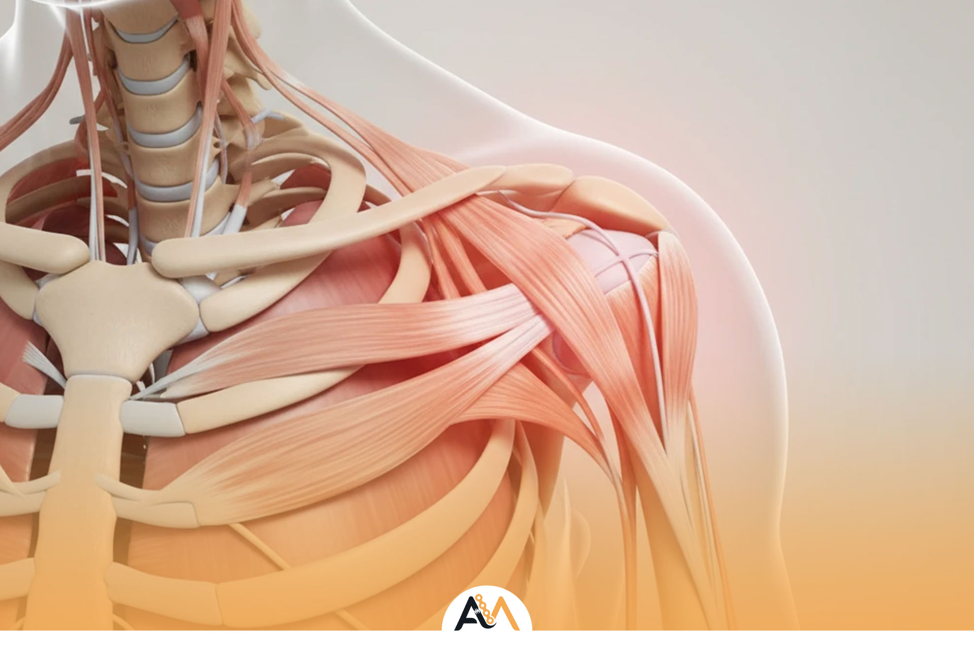 شانه یخ زده