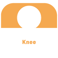 Knee